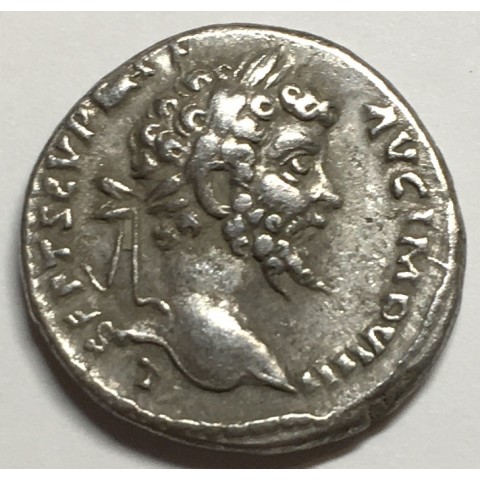 DENARIO SEPTIMIO SEVERO