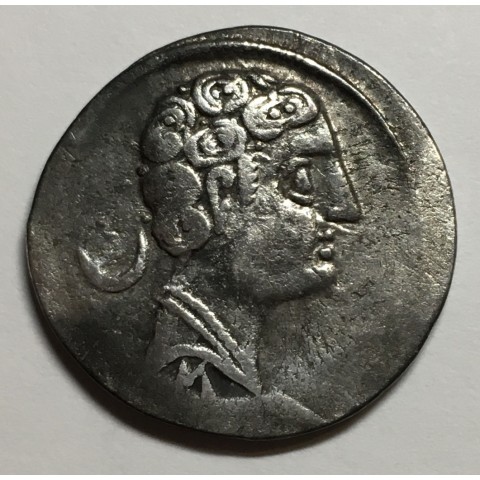 DENARIO SECOBIRICES