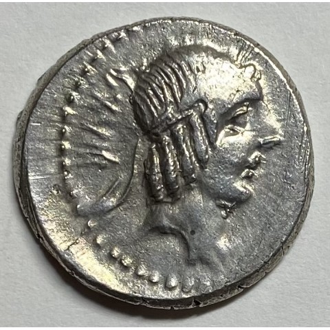 DENARIO R.P. CALPURNIA