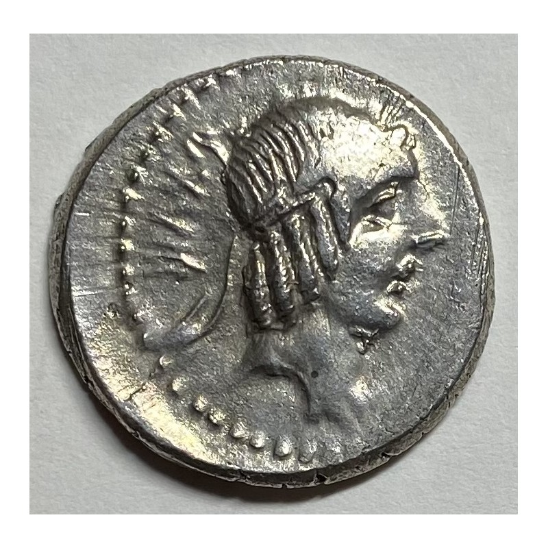 DENARIO R.P. CALPURNIA