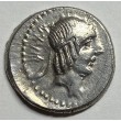 DENARIO R.P. CALPURNIA