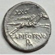 DENARIO R.P. CALPURNIA