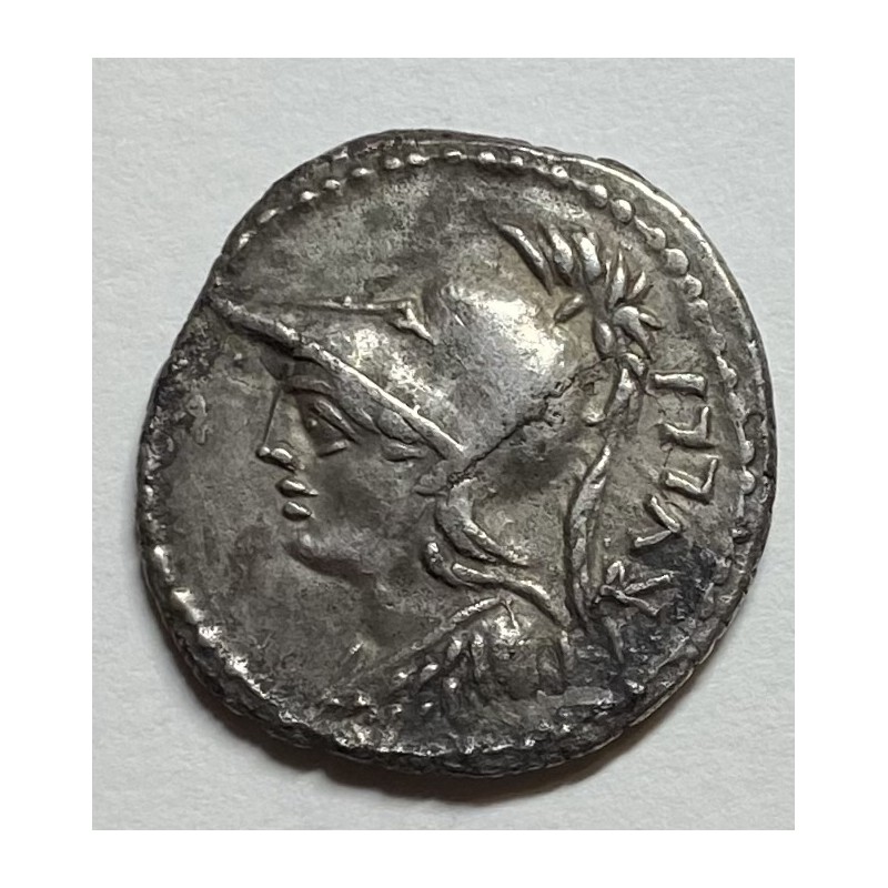 DENARIO R.P. ROMANA SERVILIA