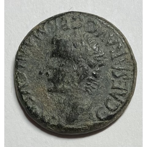 SEMIS CALIGULA SEGOBRIGA