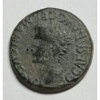 SEMIS CALIGULA SEGOBRIGA