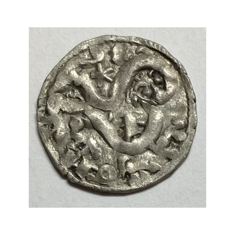DINERO ALFONSO IX ¿LEON?
