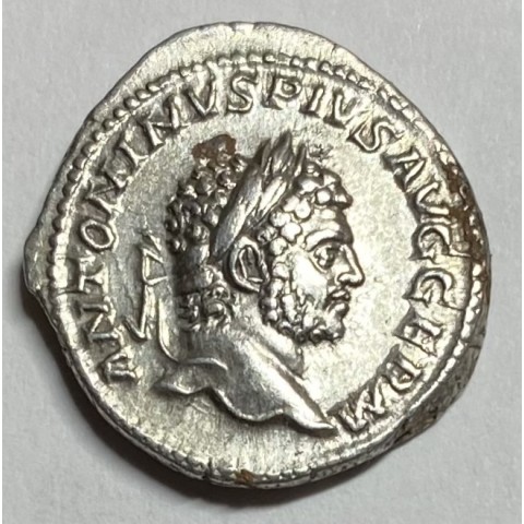 DENARIO CARACALLA