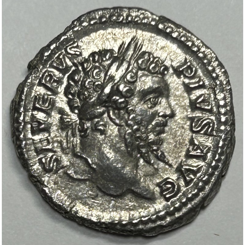 DENARIO SEPTIMIO SEVERO