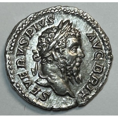 DENARIO SEPTIMIO SEVERO