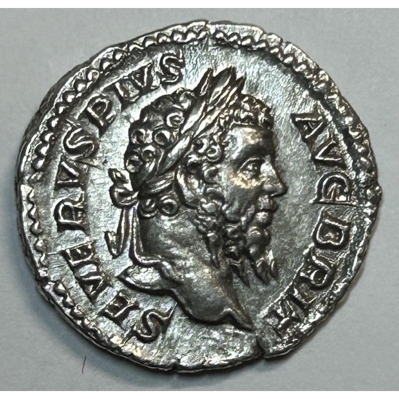 DENARIO SEPTIMIO SEVERO