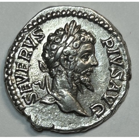DENARIO SEPTIMIO SEVERO