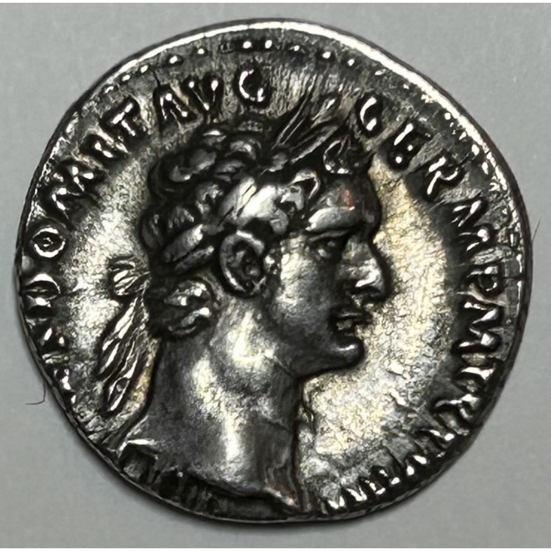 DENARIO DOMICIANO