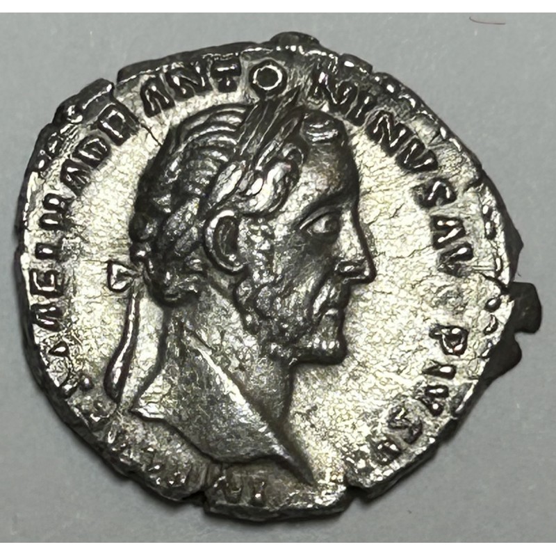 DENARIO ANTONINO PIO