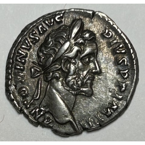 DENARIO ANTONINO PIO