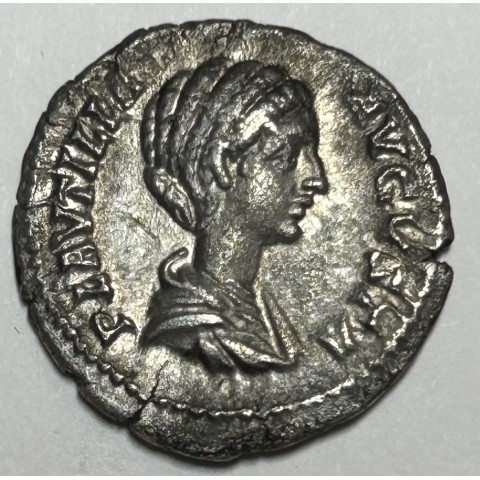 DENARIO PLAUTILLA