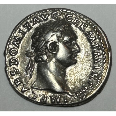 DENARIO DOMICIANO