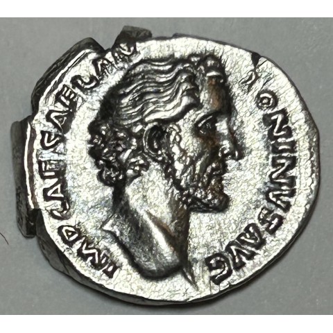DENARIO ANTONINO PIO