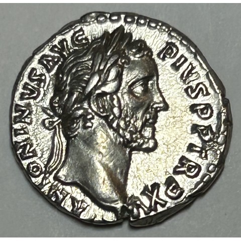 DENARIO ANTONINO PIO