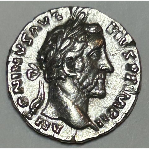 DENARIO ANTONINO PIO