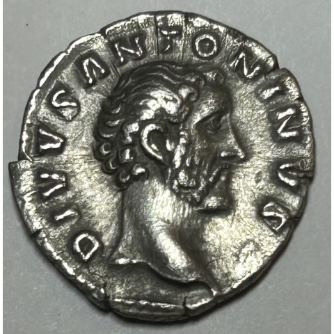 DENARIO ANTONINO PIO