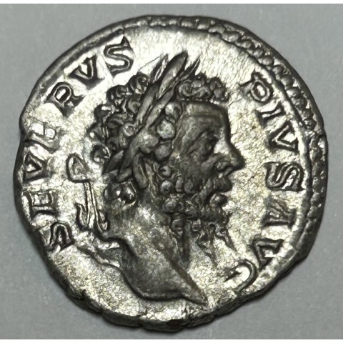 DENARIO SEPTIMIO SEVERO