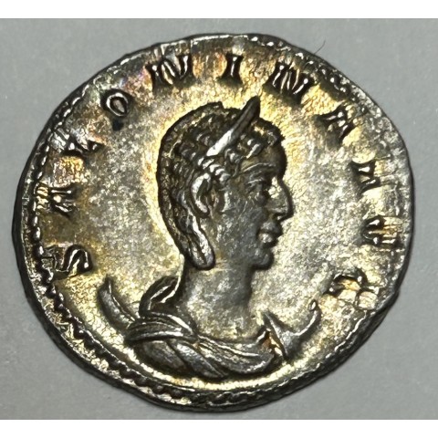 ANTONINIANO SALONINA