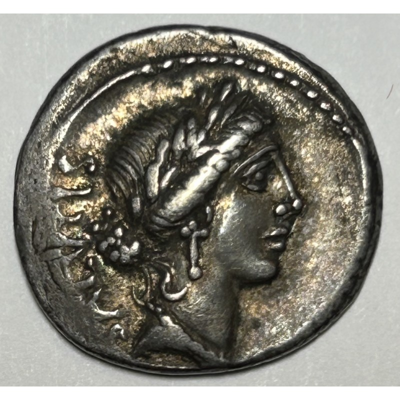 DENARIO R.P. ACILIA