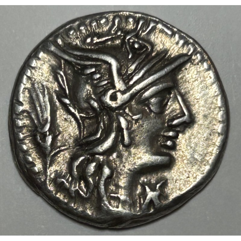 DENARIO R.P. DOMITIA