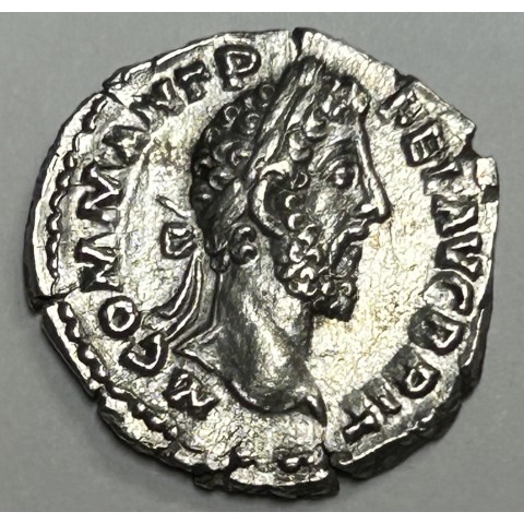 DENARIO COMODO