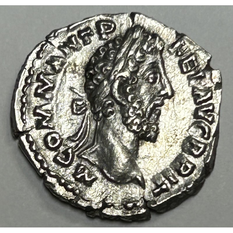 DENARIO COMODO