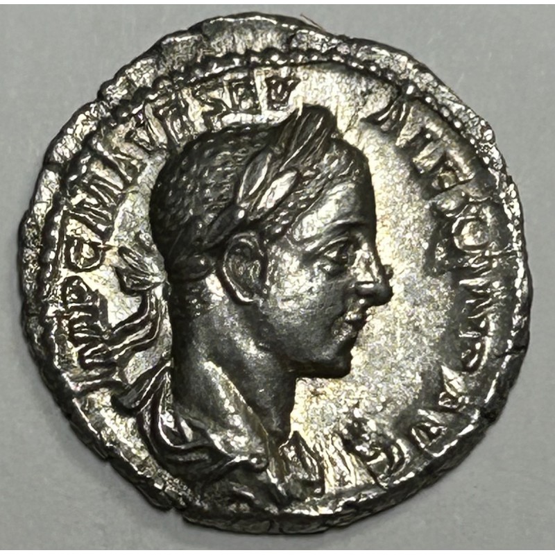 DENARIO ALEJANDRO SEVERO
