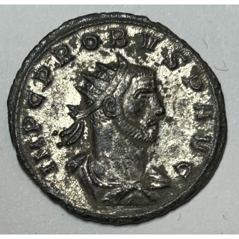 ANTONINIANO PROBO