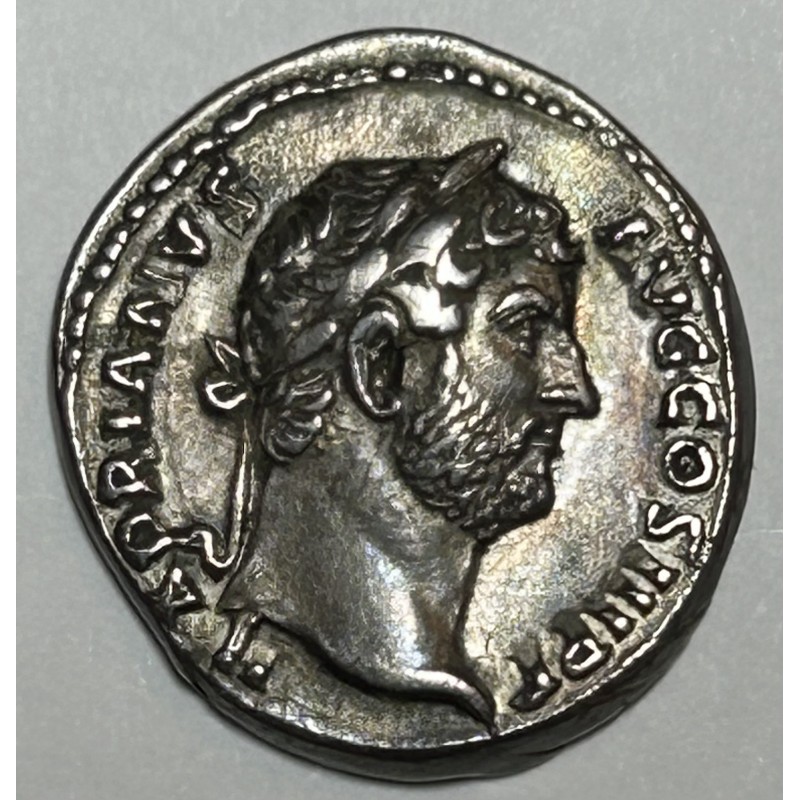 DENARIO ADRIANO AFRICA