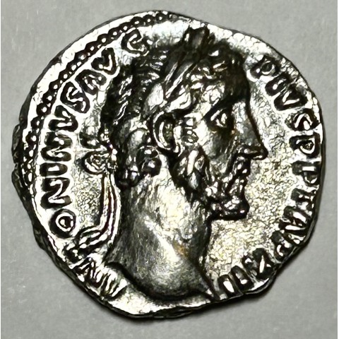 DENARIO ANTONINO PIO