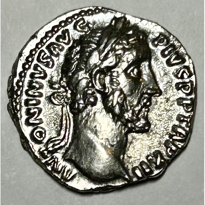 DENARIO ANTONINO PIO