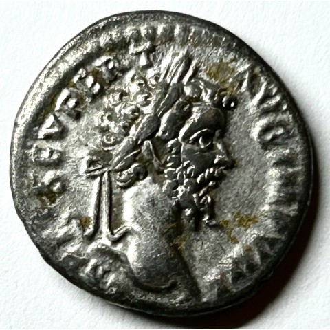 DENARIO SEPTIMIO SEVERO