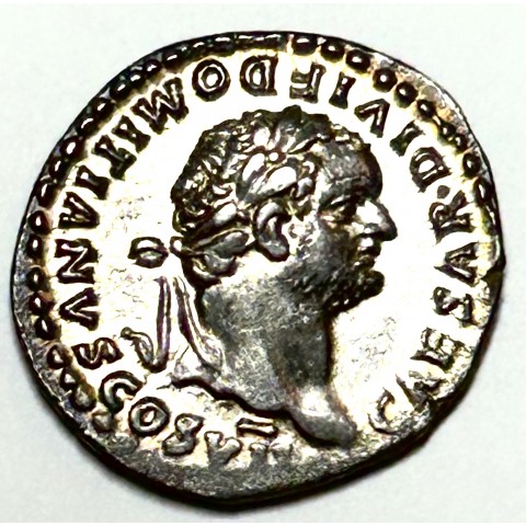 DENARIO DOMICIANO